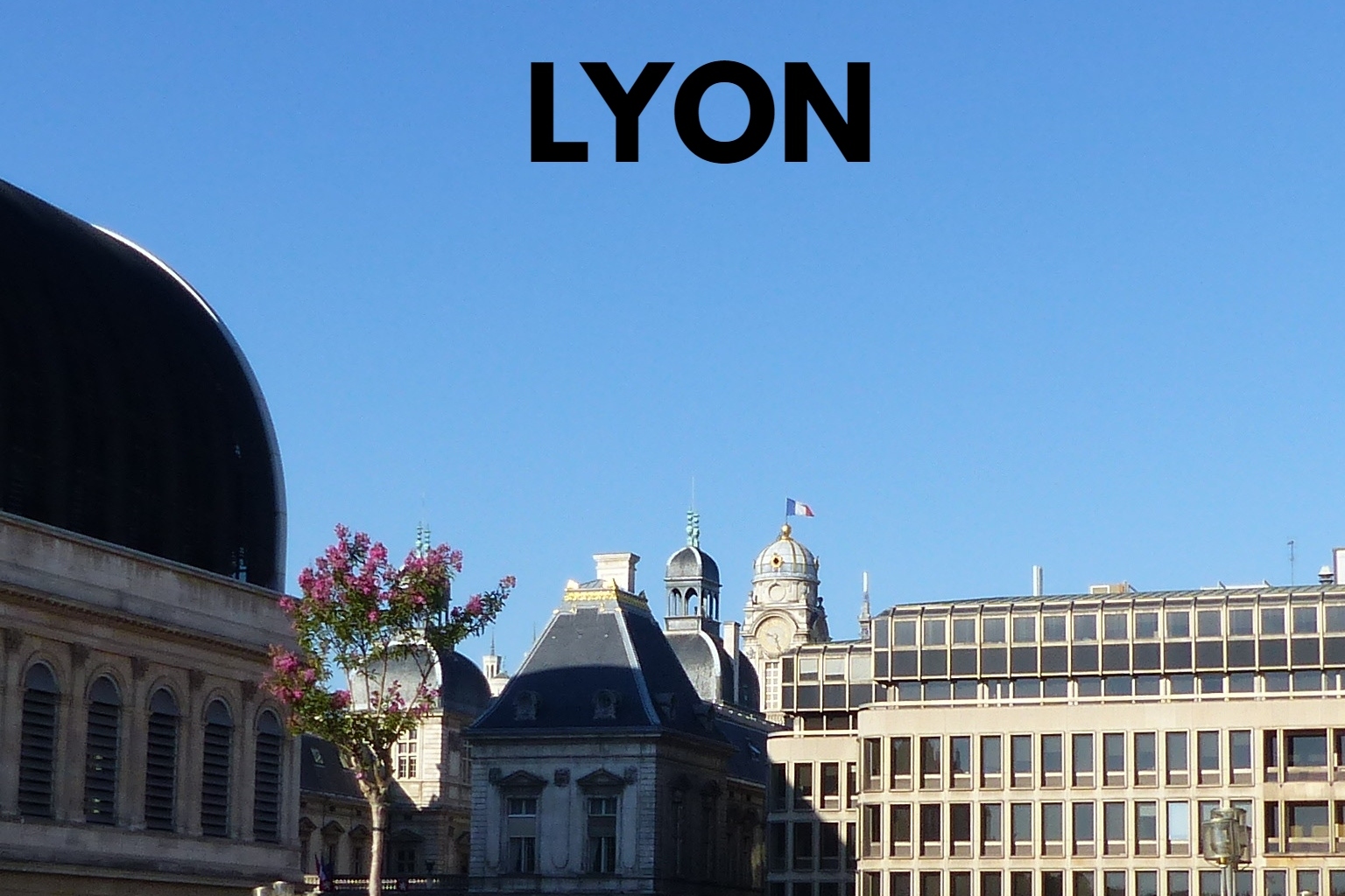LYON (1)