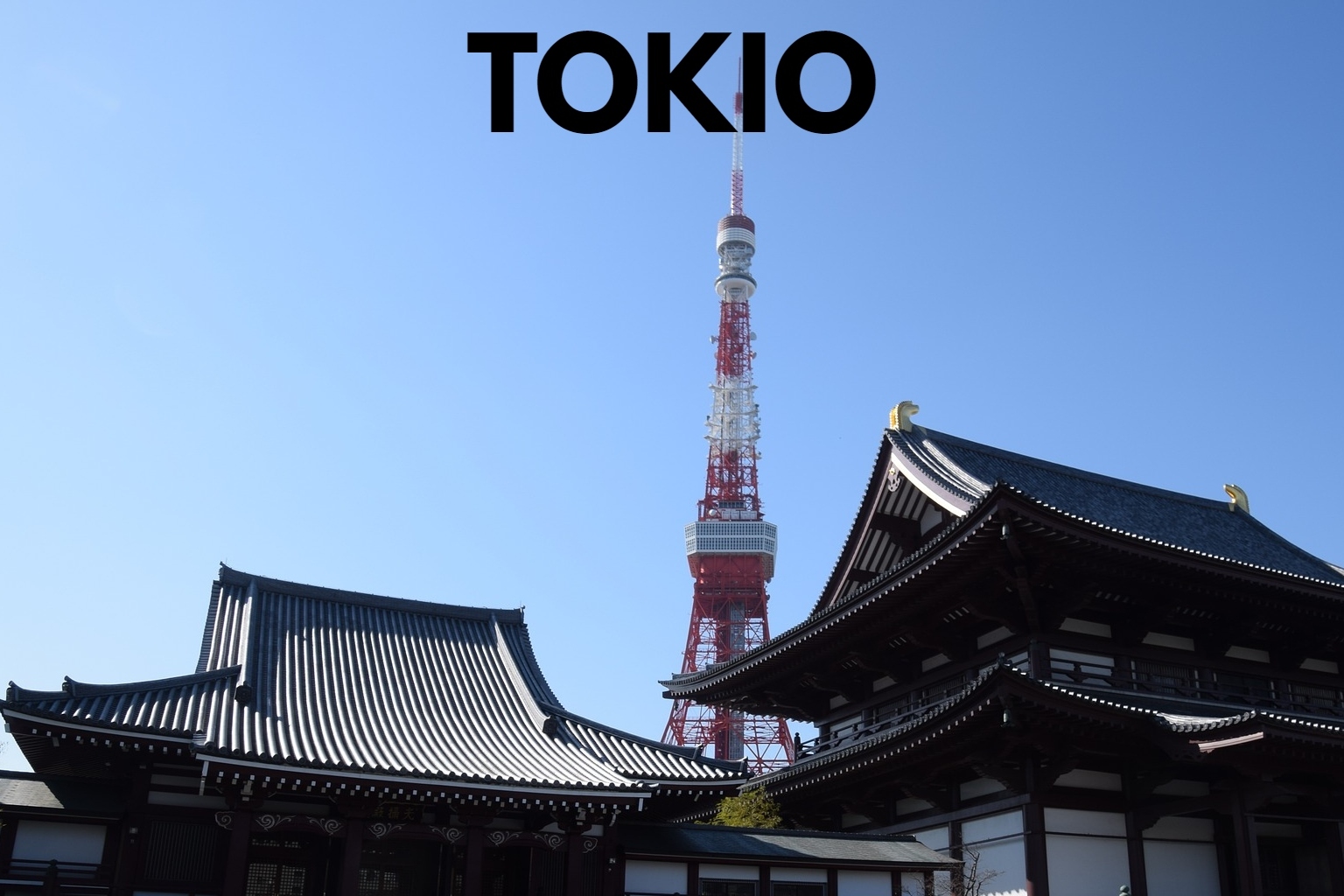TOKIO (1)
